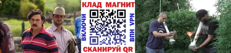Наркотические вещества Дедовск Псилоцибиновые грибы Кокаин omg вход Метадон A-PVP Бошки Шишки ГАШ