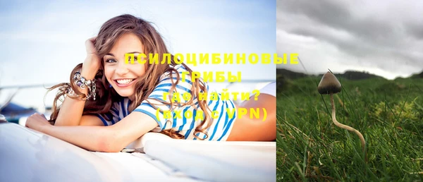 COCAINE Богородицк