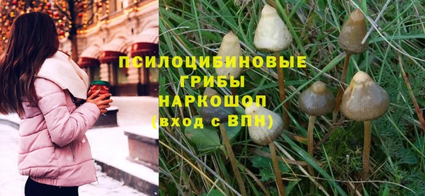 мескалин Богородск