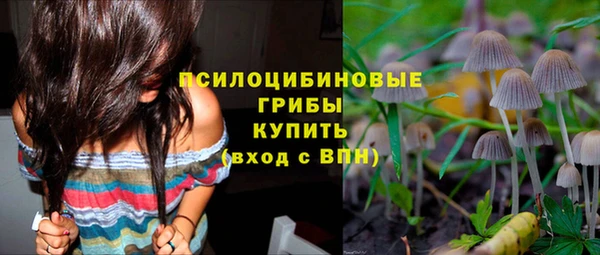 COCAINE Богородицк