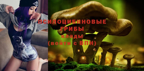 гидропоника Богданович