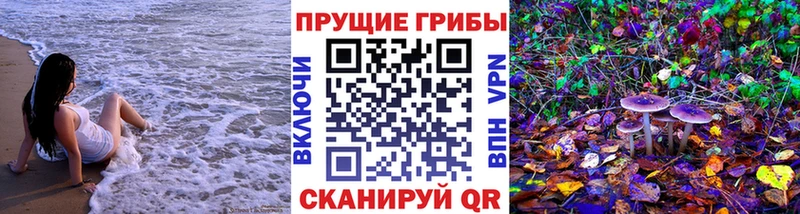 Псилоцибиновые грибы ЛСД  закладка  Дедовск 