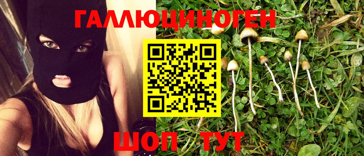 Галлюциногенные грибы мицелий  Вход с VPN  Дедовск 
