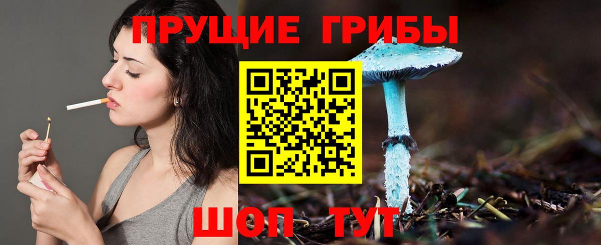 Галлюциногенные грибы MAGIC MUSHROOMS Дедовск